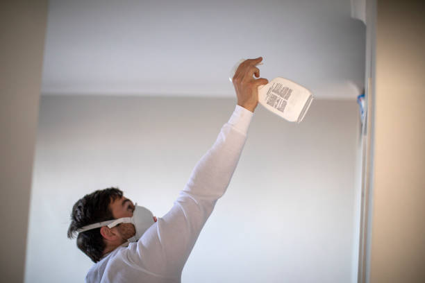 Best Office Mold Removal Services  in Ohatchee, AL