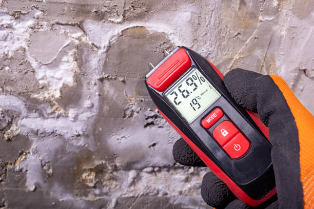 Best Certified Mold Removal  in Ohatchee, AL