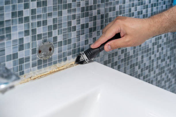Mold Removal and Inspection in Ohatchee, AL